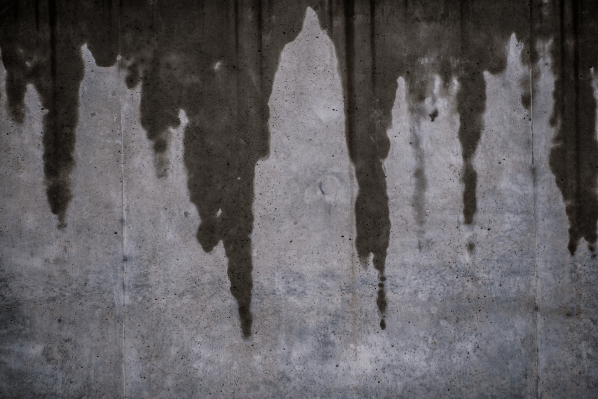 How Long Does it Take Concrete to Dry?