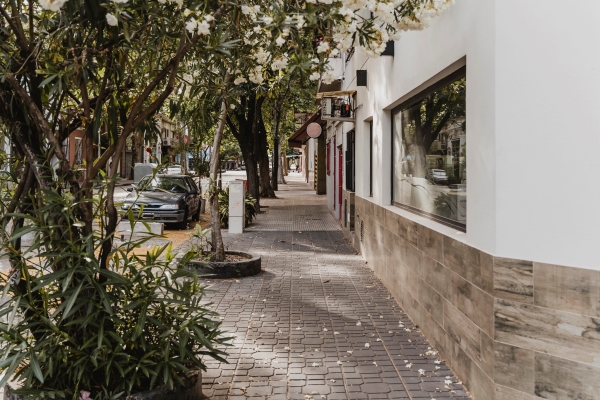 view-city-street-with-building-trees